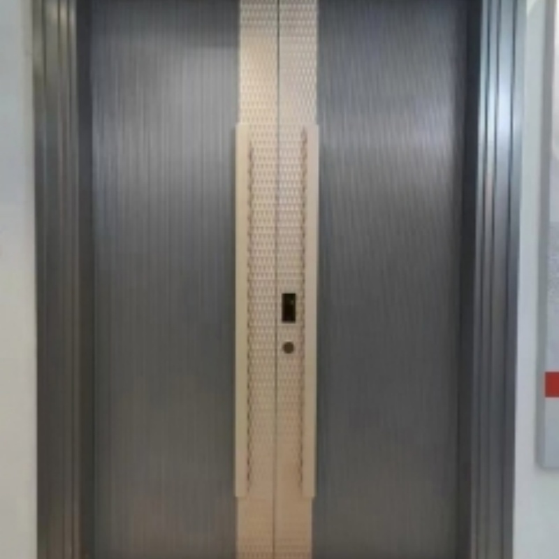 High-End Metal Doors