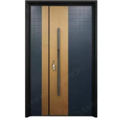 Anti-theft Front Door