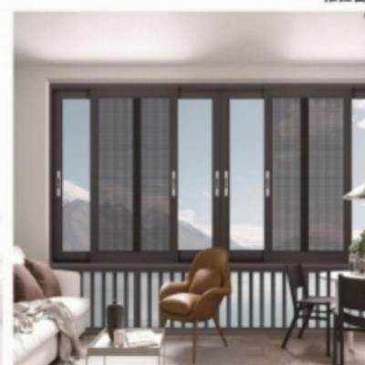 High-End Metal Windows